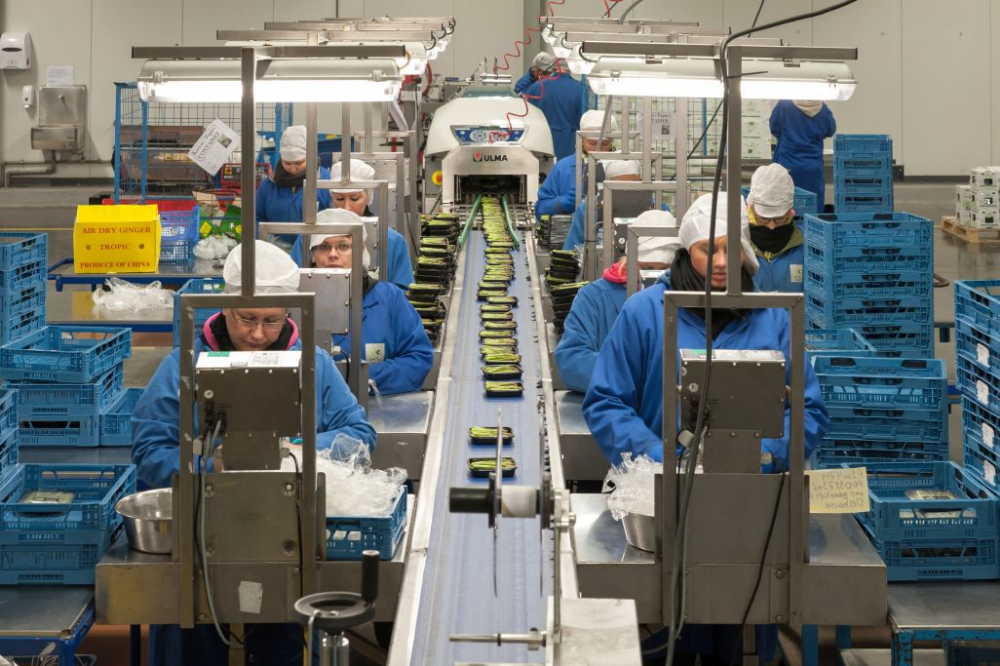 Voor de operaties in Meer kan het bedrijf rekenen op 160 vaste medewerkers