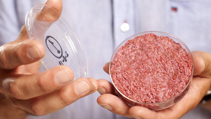 L'Organisation Mondiale des Agriculteurs s'insurge contre la viande cultivée in vitro