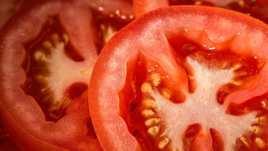 L'AFSCA partage ses recommandations sur la conservation des tomates et des oignons en tranches