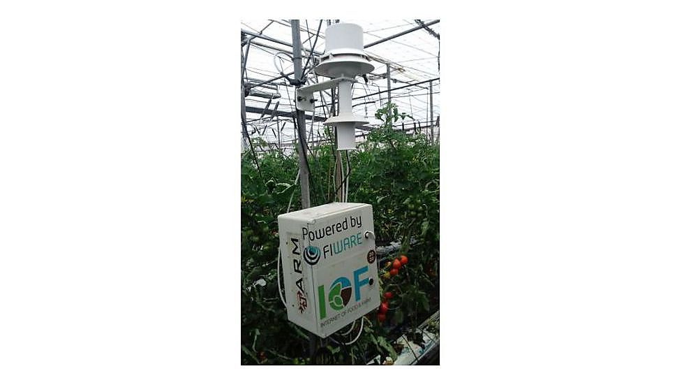 Internet of Things in agrofood