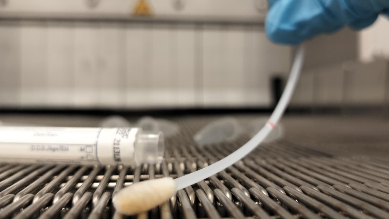 Listeria bacterie onderzoek Ugent4