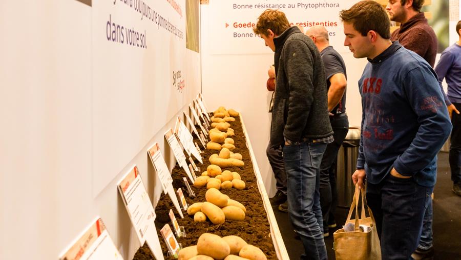 Aardappelsector verzamelt massaal op INTERPOM