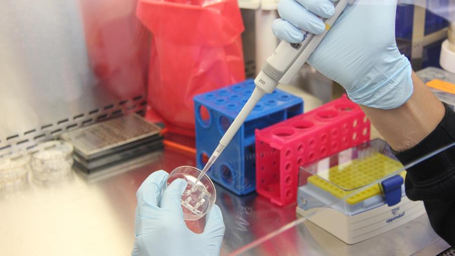 Soepelere regels voor genetisch bewerkt voedsel