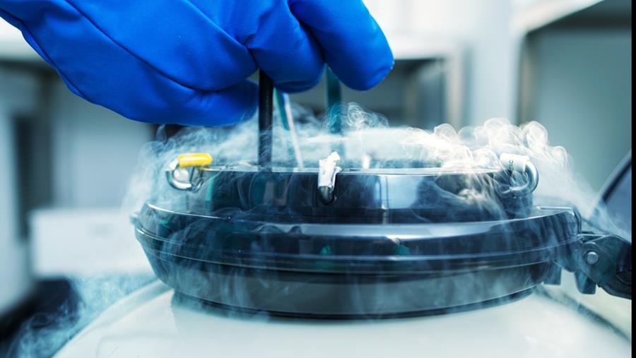 Plus de 600 patients atteints de cancer ont fait congeler ovules ou sperme