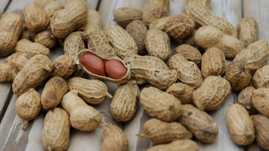 Les allergènes, un problème croissant